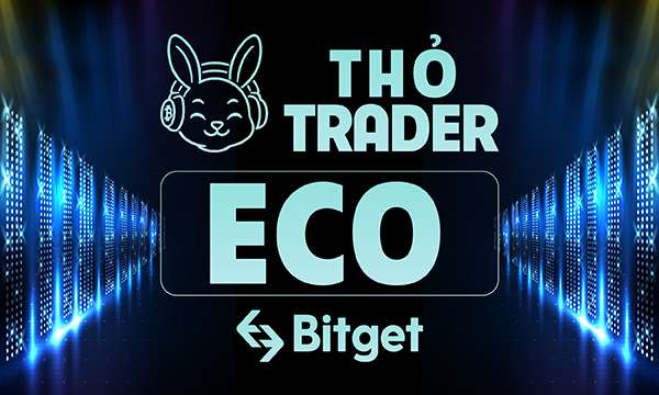 Group Chát Thỏ Trader demo
